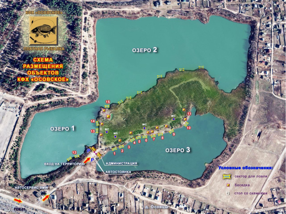 Карта водоема платного озера в Осовцах г. Гомеля